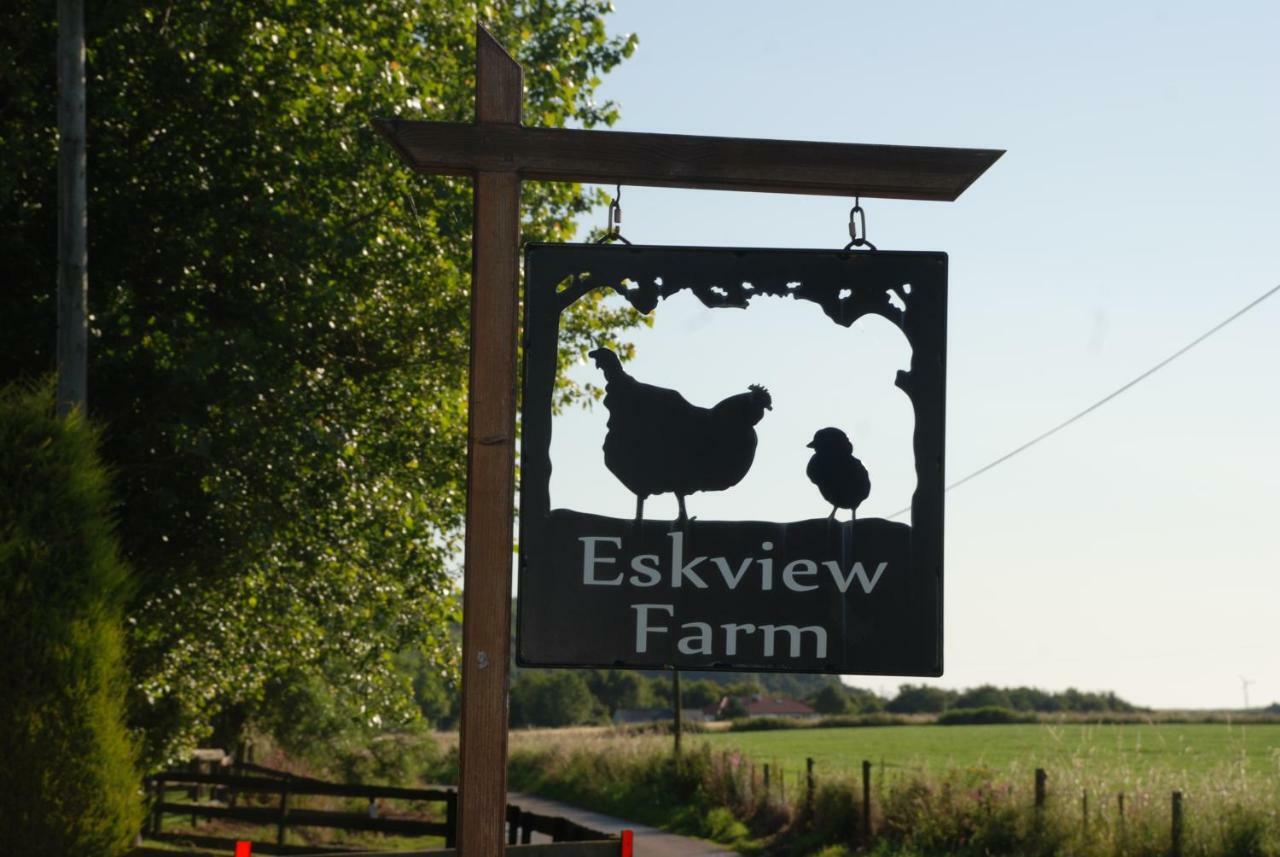 לינה וארוחת בוקר מונטרוז Eskview Farm מראה חיצוני תמונה